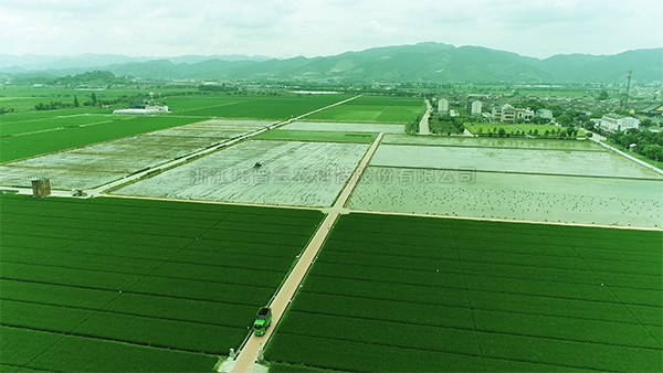 打造高標準農田建設古林樣板 夯實寧波現(xiàn)代農業(yè)發(fā)展基礎