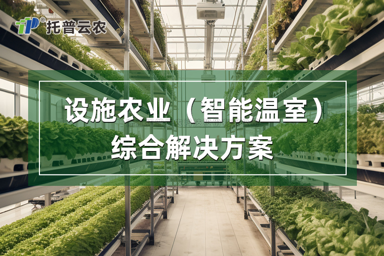 設(shè)施農(nóng)業(yè)綜合解決方案