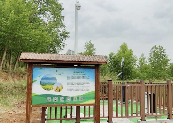 走進國家級油菜夏繁基地，感受科技賦能蓬勃動力