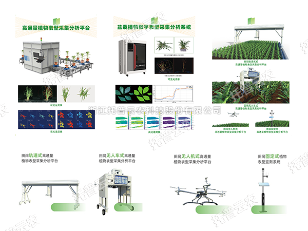 AI+農業(yè)新突破！托普高通量植物表型智能分析平臺助力智慧農業(yè)創(chuàng)新發(fā)展