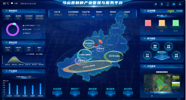 AI+農(nóng)業(yè) | 當(dāng)種子植入“數(shù)智芯片”，馬山縣打造制種基地新標(biāo)桿
