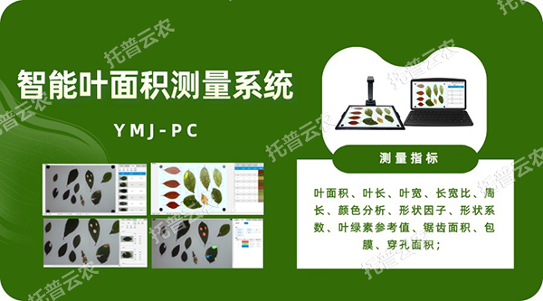 智能葉面積測量系統(tǒng)——秒級快速測葉片，多參數(shù)同步解析，云端數(shù)據(jù)好管理