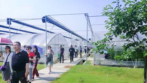 培訓班頂著酷暑考察蕭山區(qū)農(nóng)科所臨浦基地
