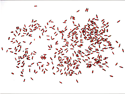 1、水稻表型檢測系統(tǒng)-水稻數(shù)粒圖.png
