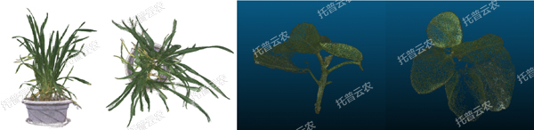 溫室型高通量植物表型采集分析平臺(tái)-3維.jpg