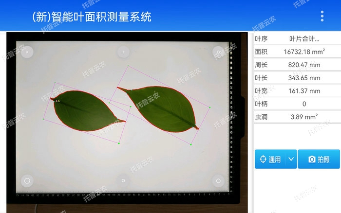 智能葉面積測量系統(tǒng)YMJ-CHA3測量界面圖.jpg